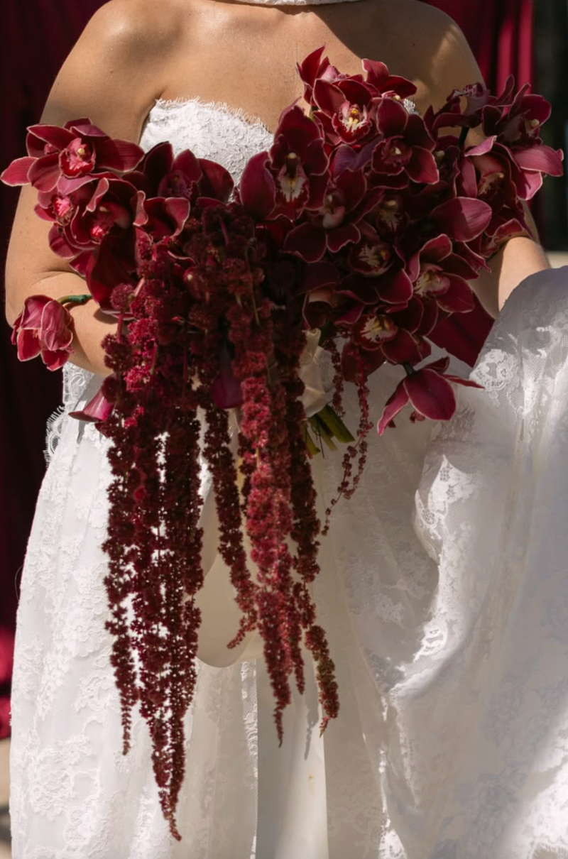 Menykort i plomme med gullskrift